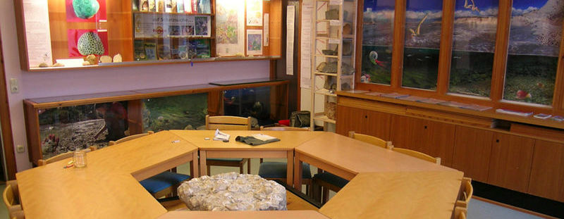 Fossilienkabinett Russbach Fossilienkabinett Russbach