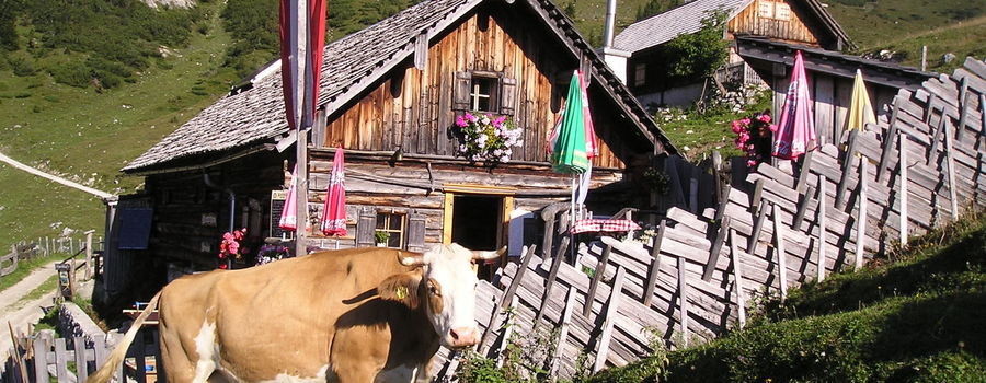 Rinnbergalm Rinnbergalm