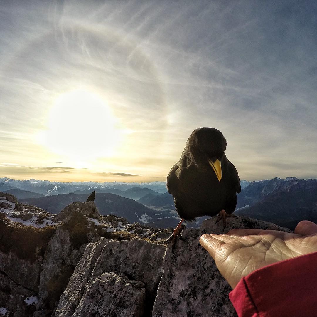 Wanderurlaub Dachstein West | Instagram: @totolank